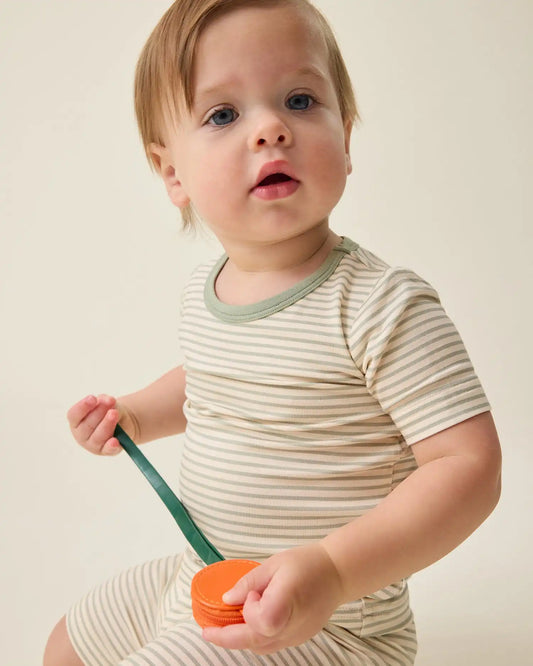 Bamboo Short Sleeve & Shorts Set | Sage Candy Stripe