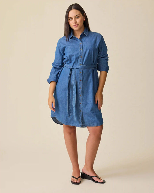 Denim Maternity & Nursing Shirt Dress | Dark Wash